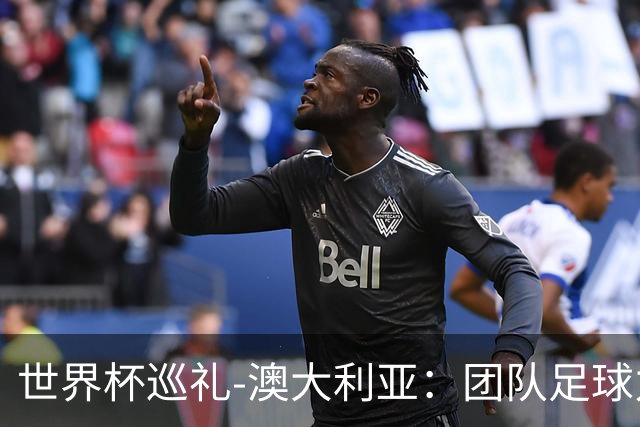 世界杯巡礼-澳大利亚：团队足球力量大，老将“外援”联手造奇迹