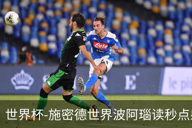 世界杯-施密德世界波阿瑙读秒点射破门 奥地利3-1约旦