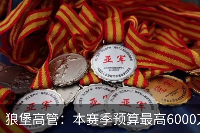 狼堡高管：本赛季预算最高6000万欧，力争完成在德乙的目标